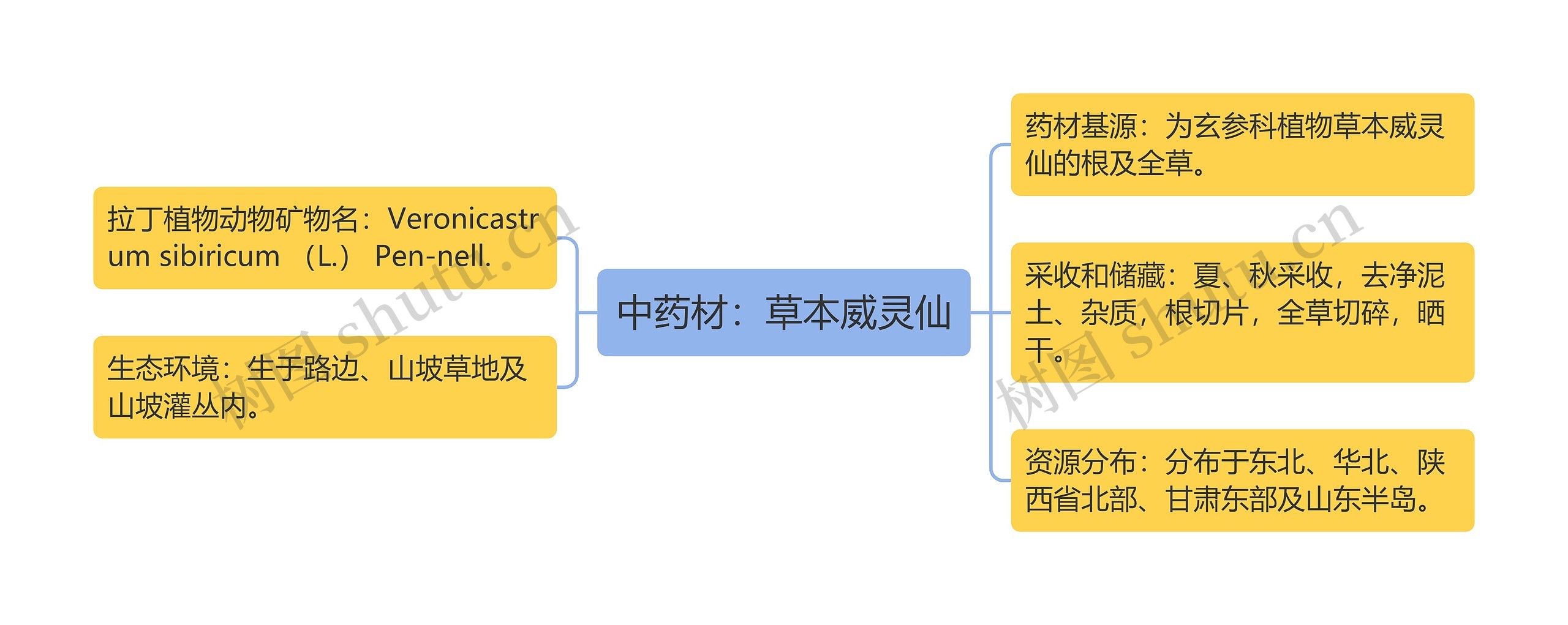 中药材：草本威灵仙思维导图