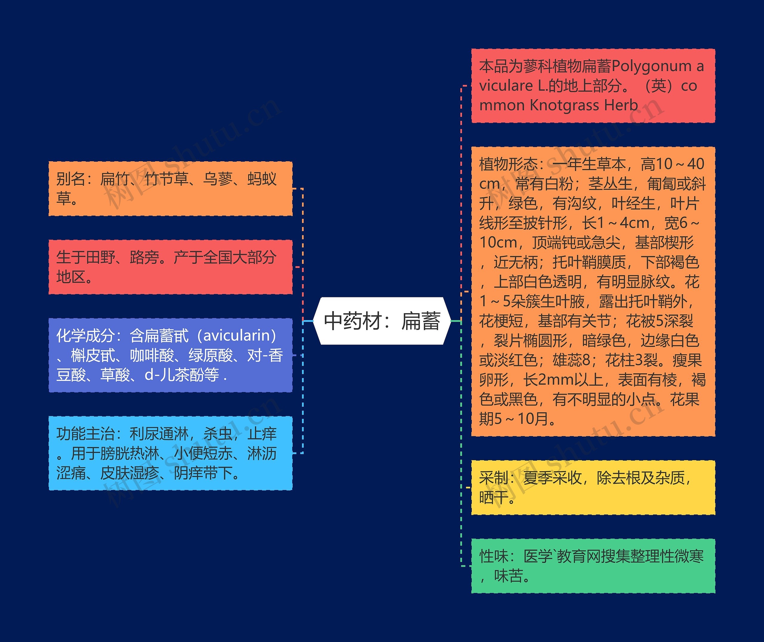 中药材：扁蓄思维导图