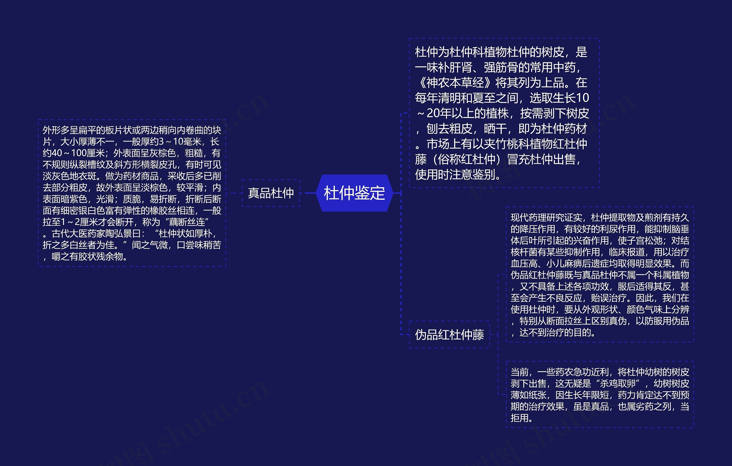 杜仲鉴定思维导图