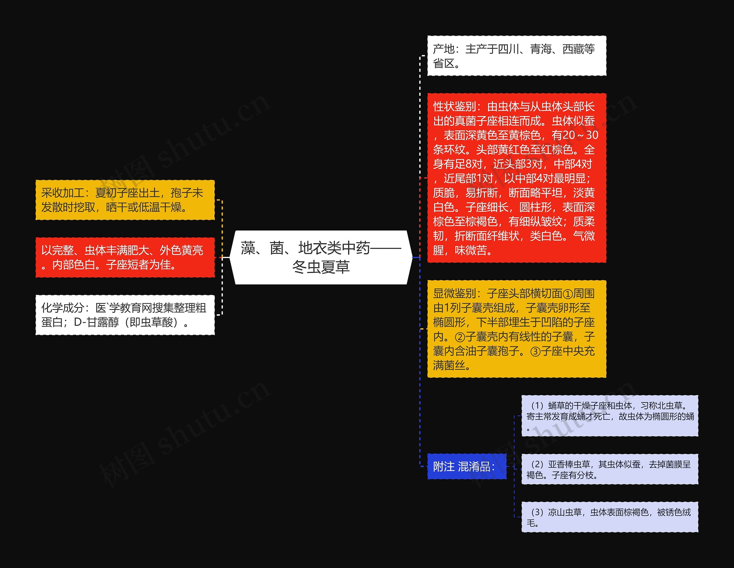 藻、菌、地衣类中药——冬虫夏草思维导图