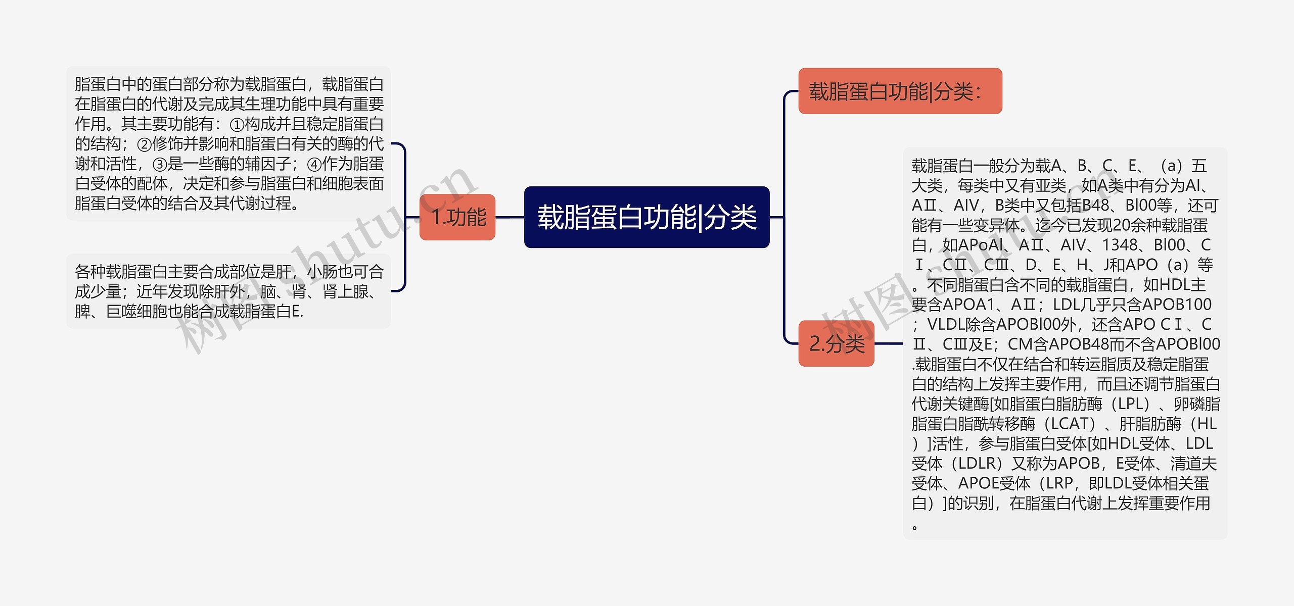 载脂蛋白功能|分类