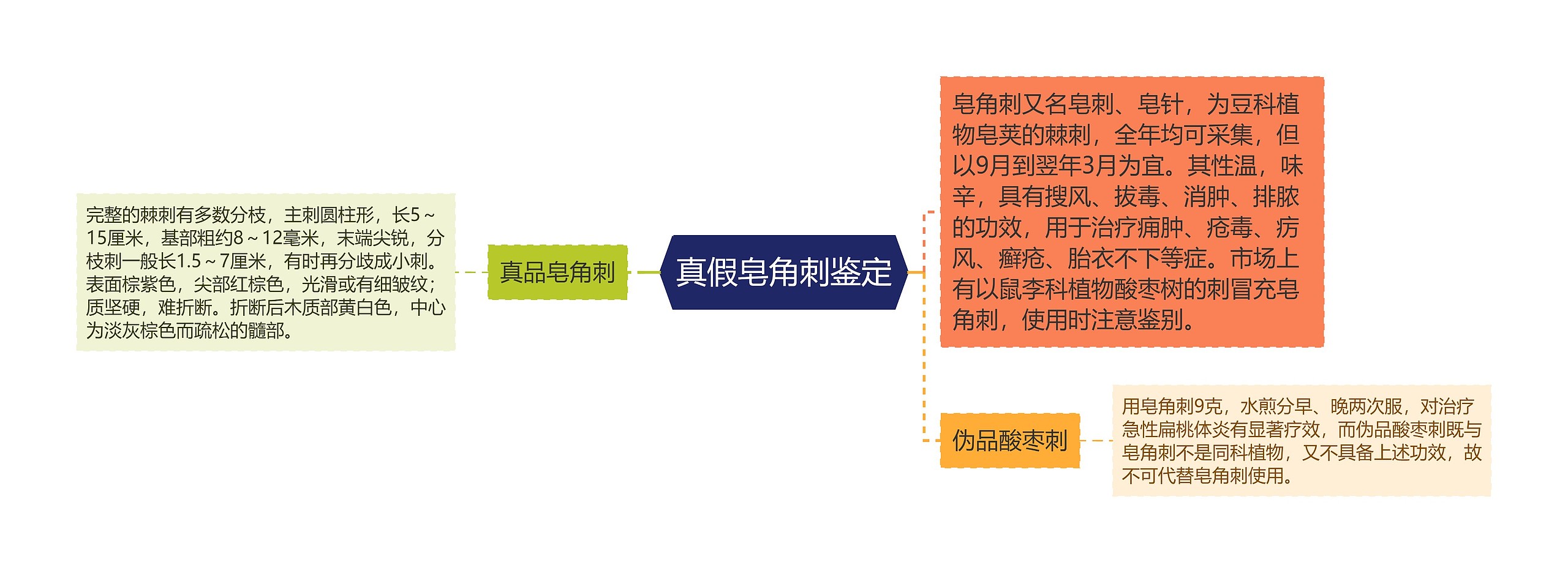 真假皂角刺鉴定思维导图