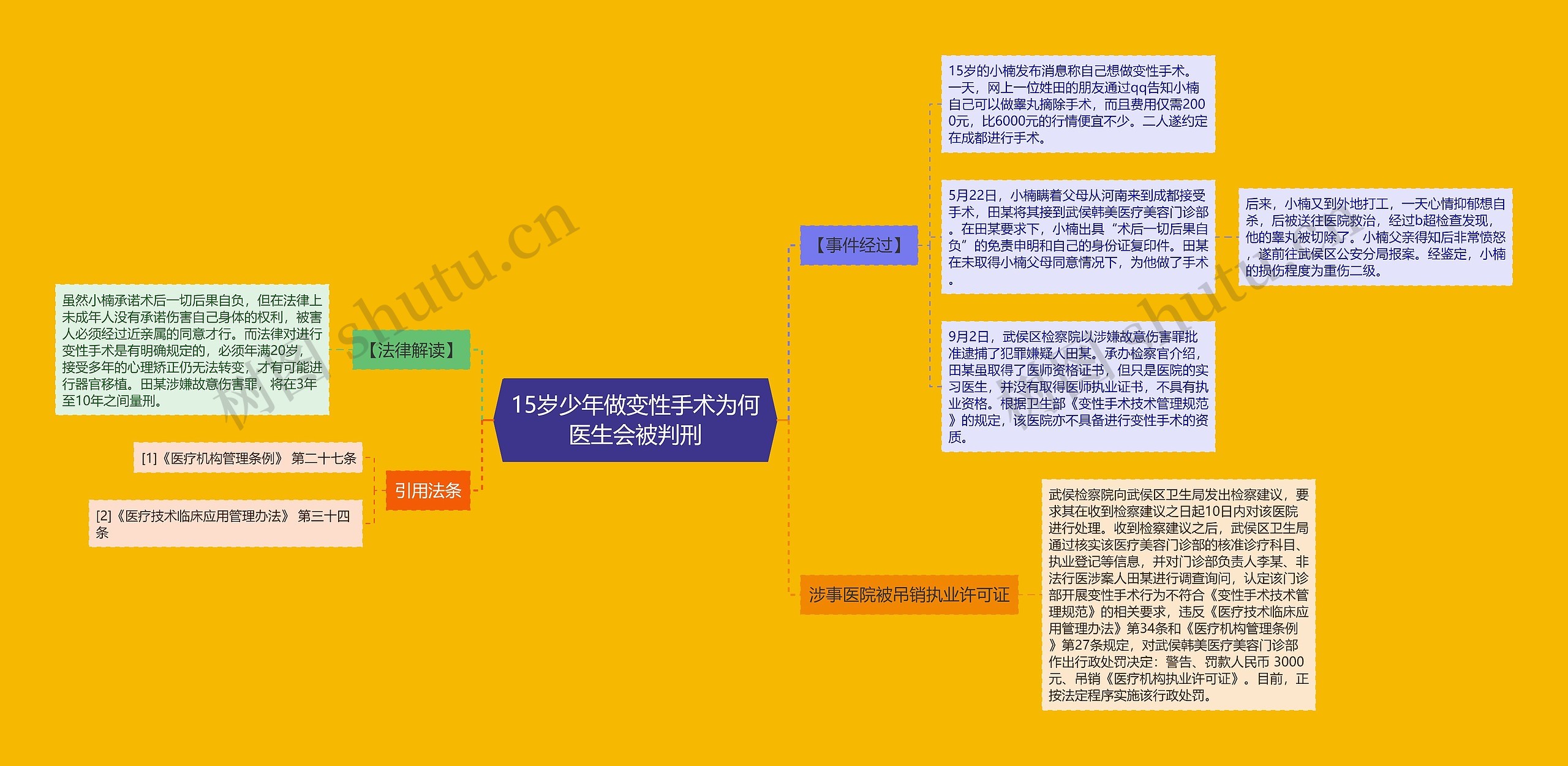 15岁少年做变性手术为何医生会被判刑思维导图