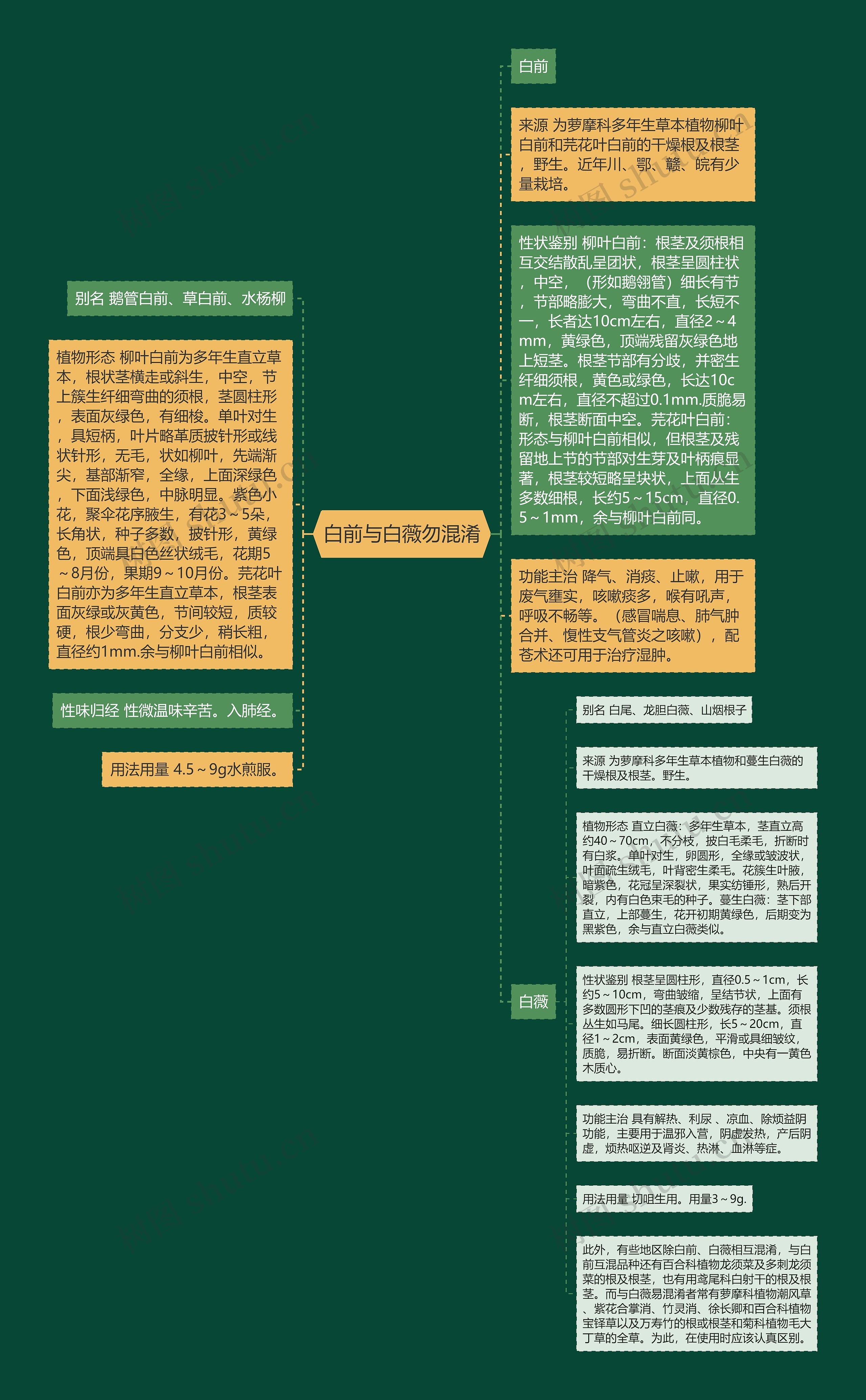 白前与白薇勿混淆思维导图