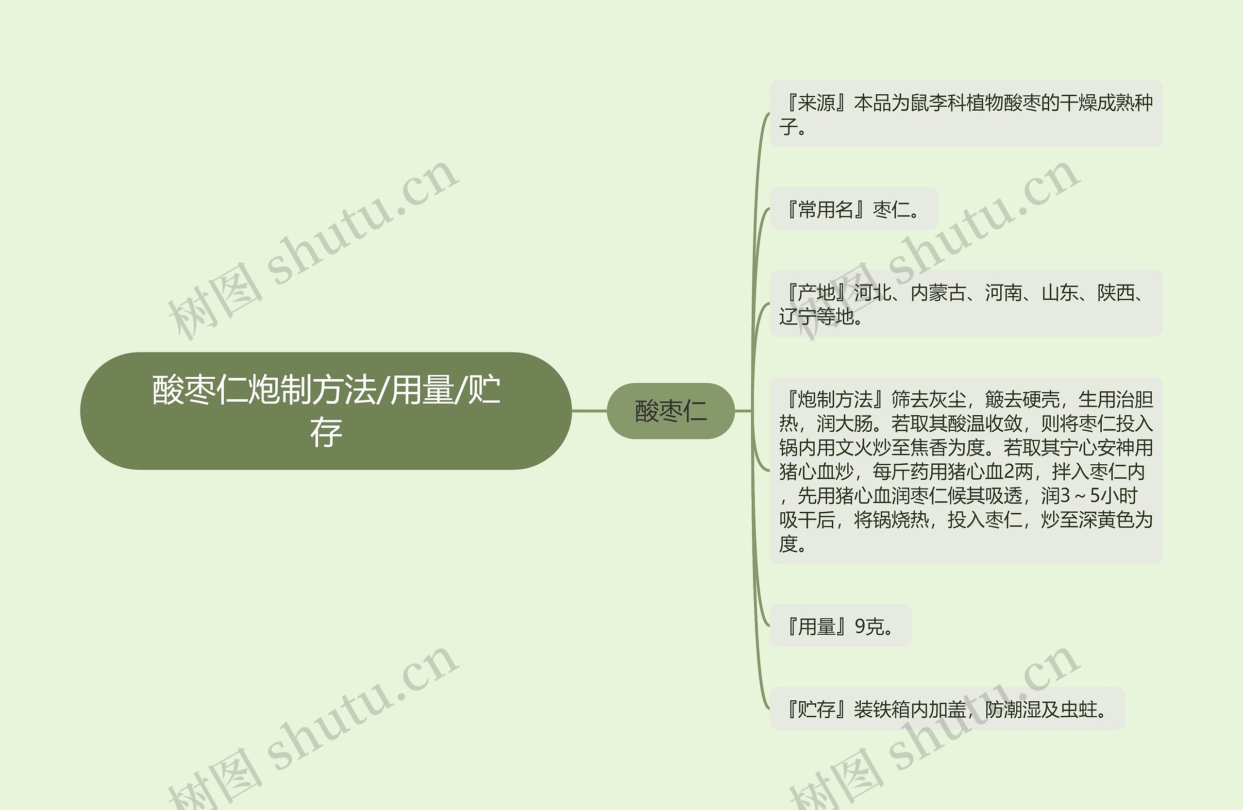 酸枣仁炮制方法/用量/贮存思维导图