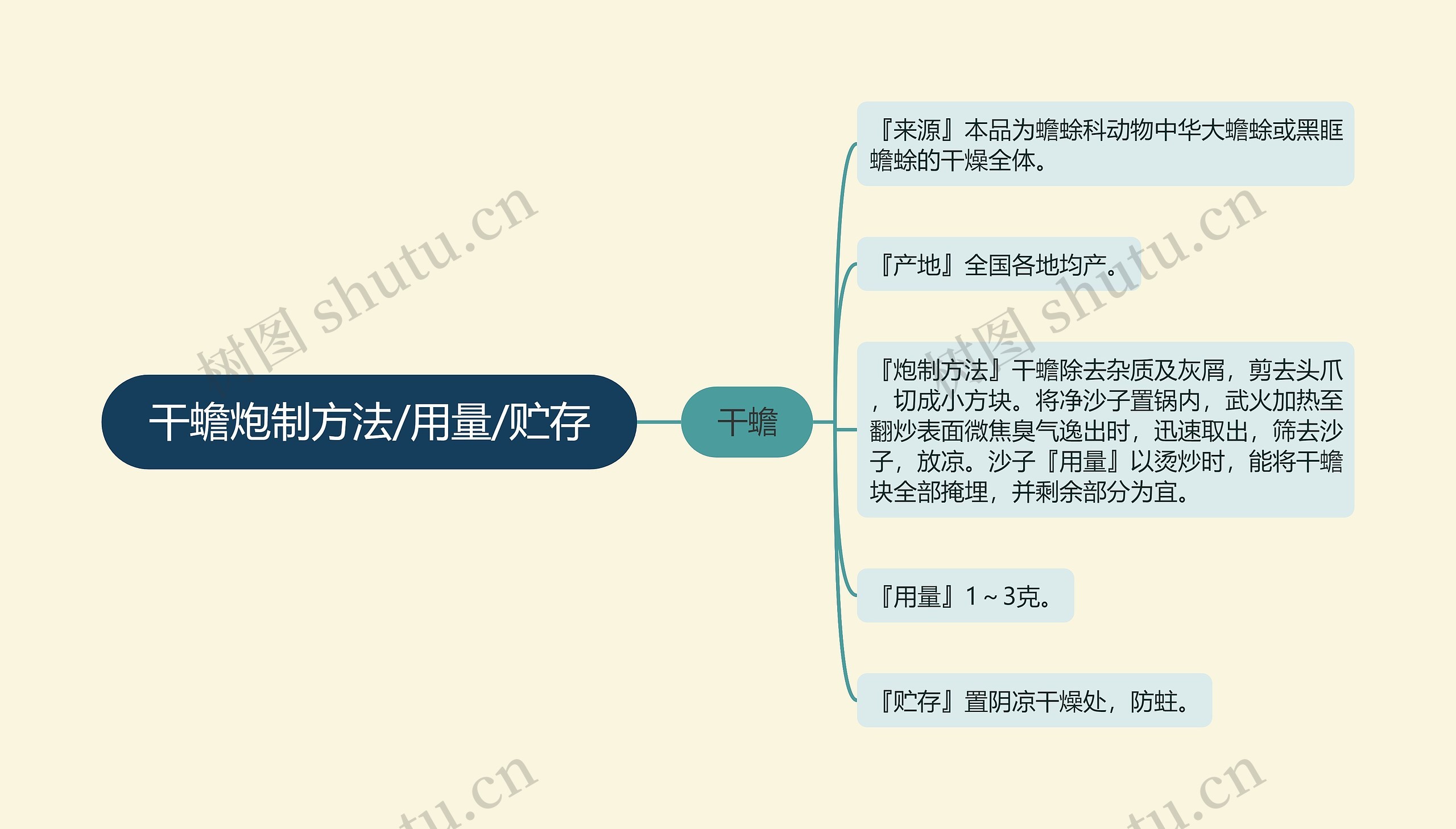 干蟾炮制方法/用量/贮存思维导图