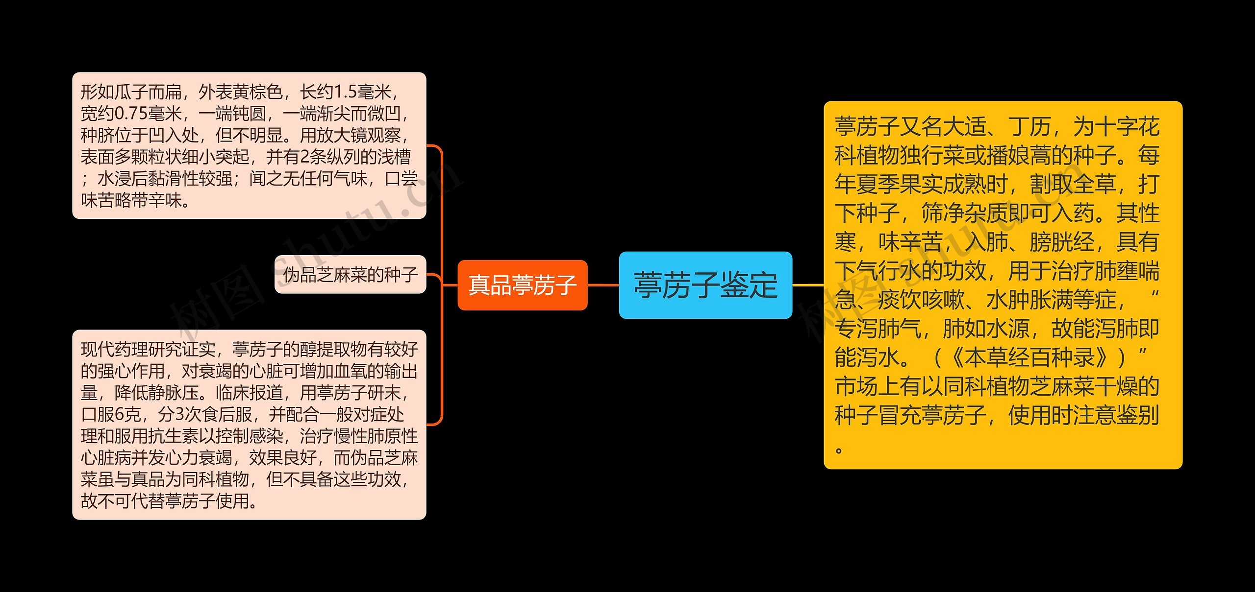 葶苈子鉴定思维导图