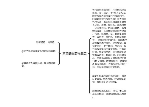 紫堇的生药材鉴定