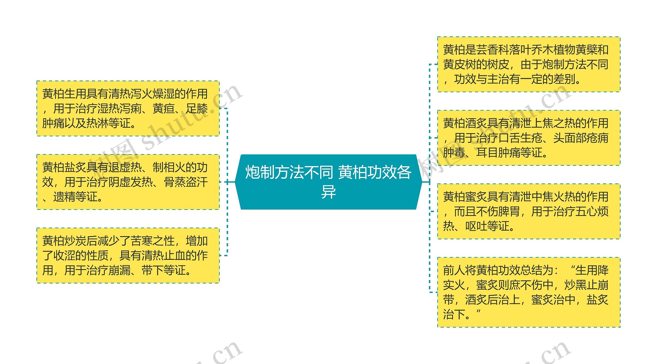 炮制方法不同 黄柏功效各异思维导图