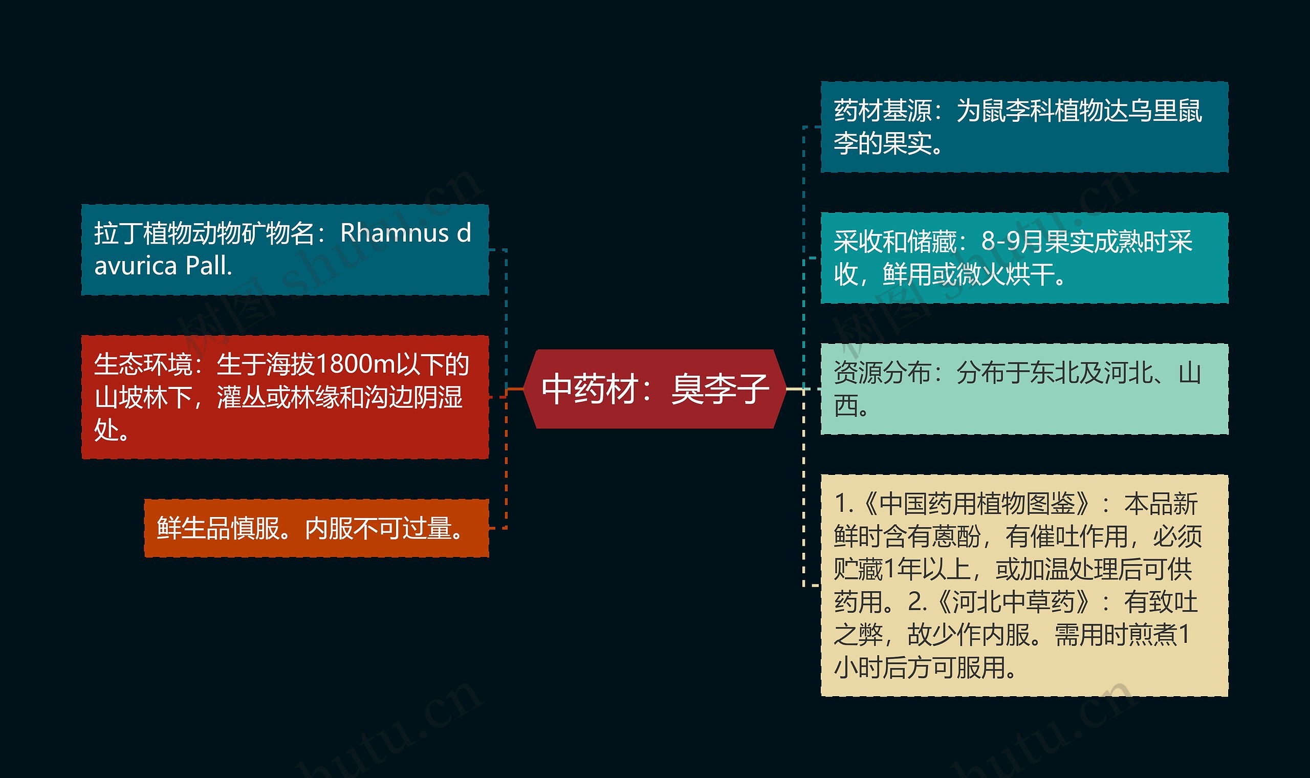 中药材：臭李子思维导图