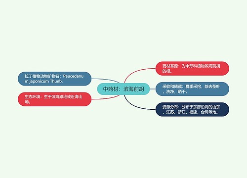 中药材：滨海前胡思维导图