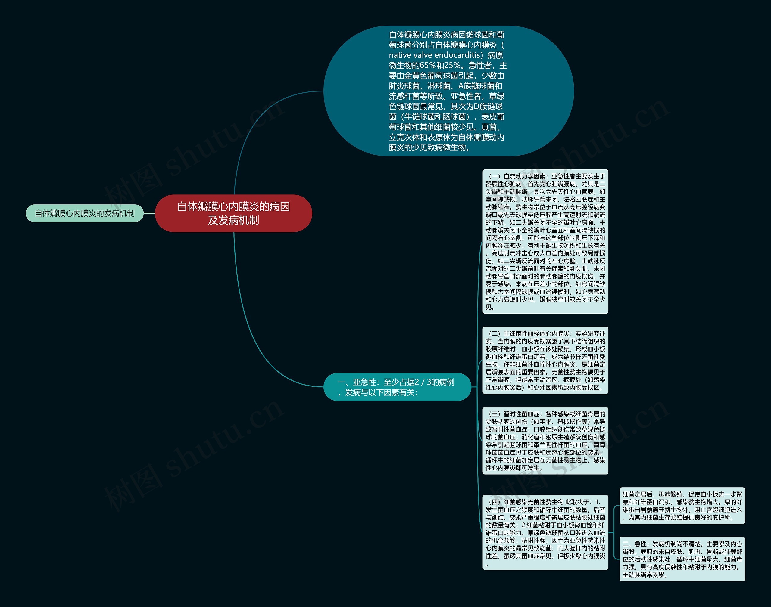 自体瓣膜心内膜炎的病因及发病机制思维导图