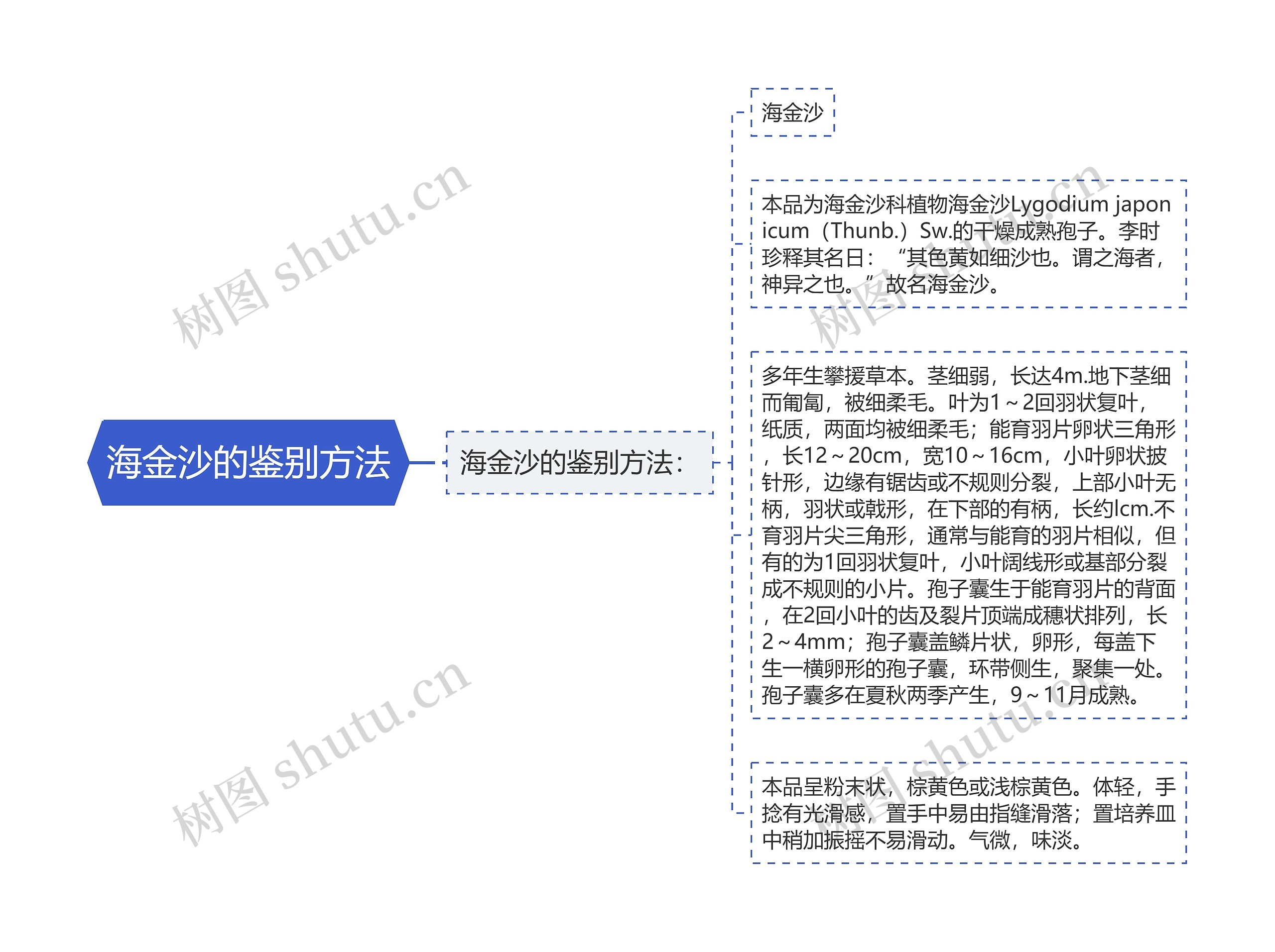 海金沙的鉴别方法思维导图