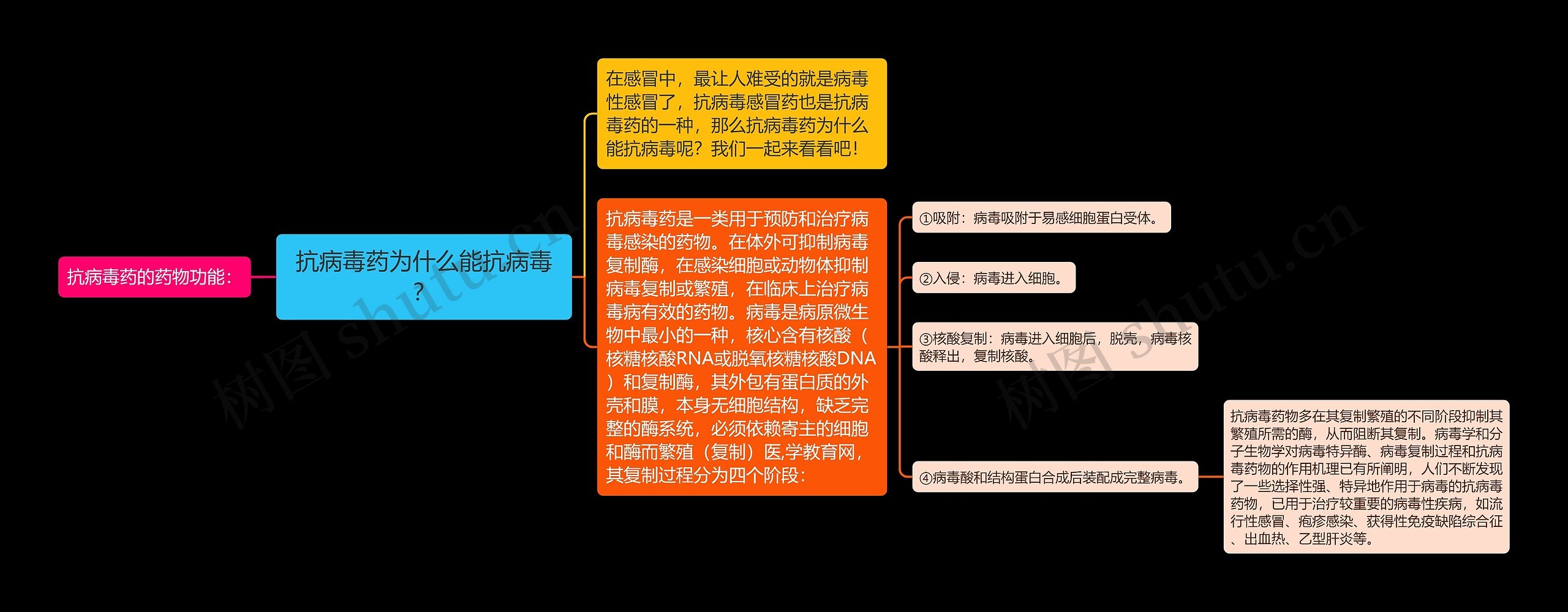 抗病毒药为什么能抗病毒？思维导图