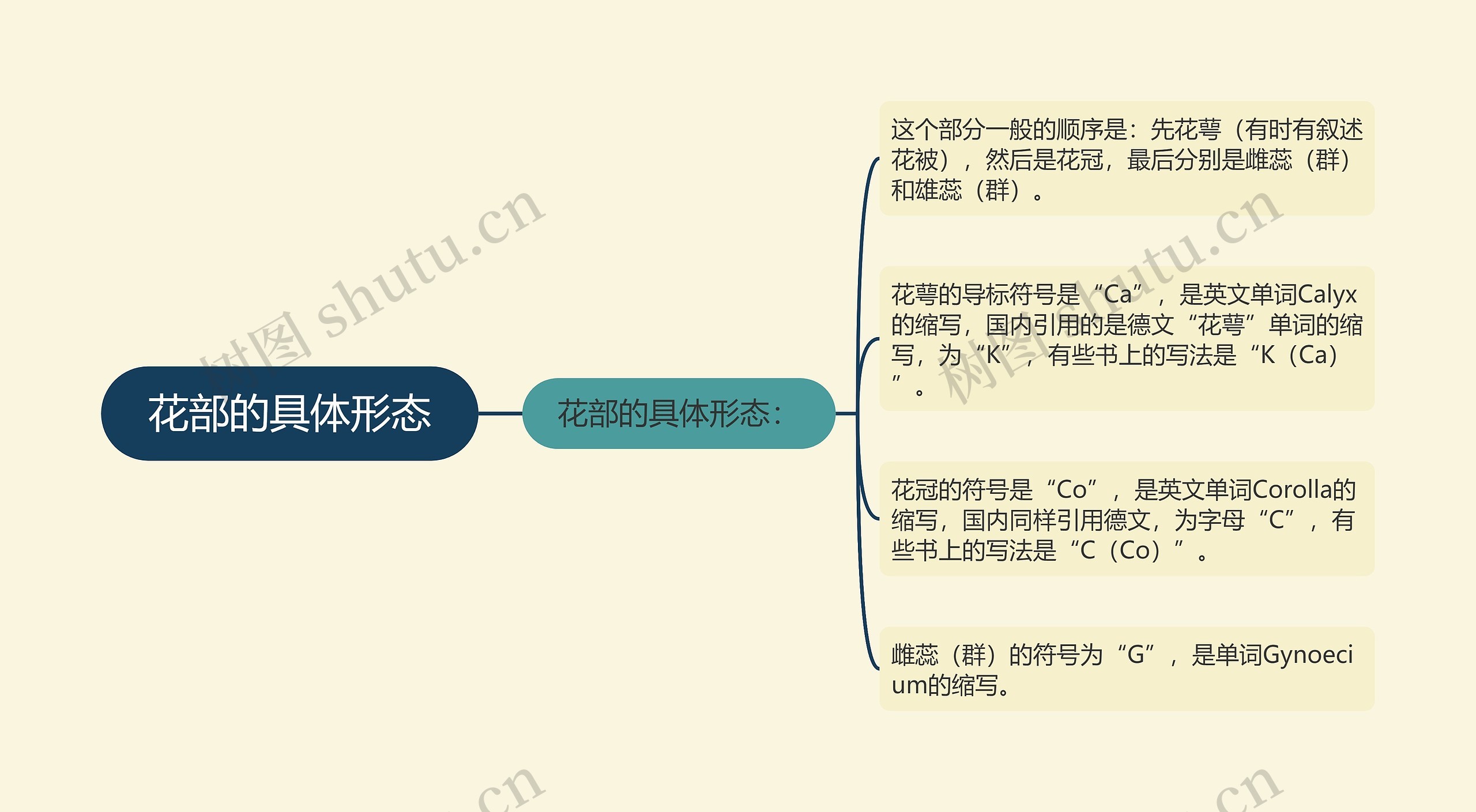 花部的具体形态思维导图