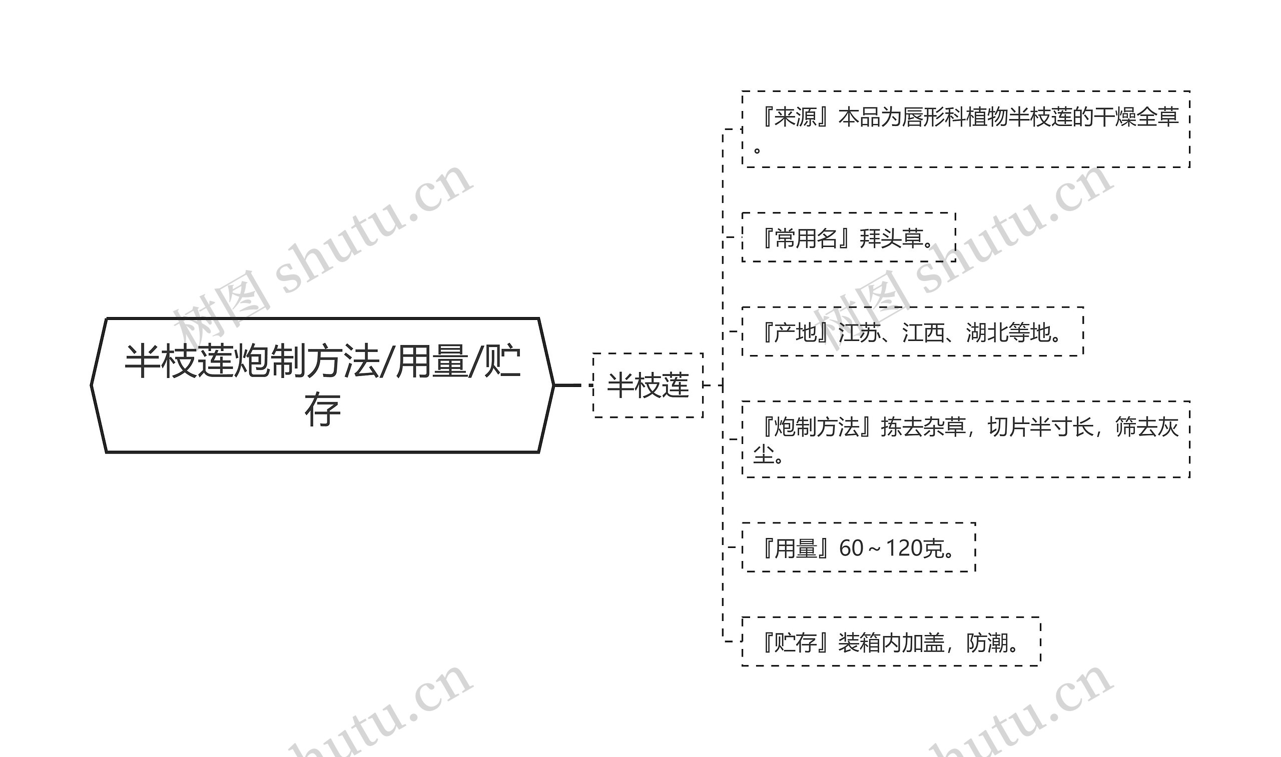 半枝莲炮制方法/用量/贮存思维导图