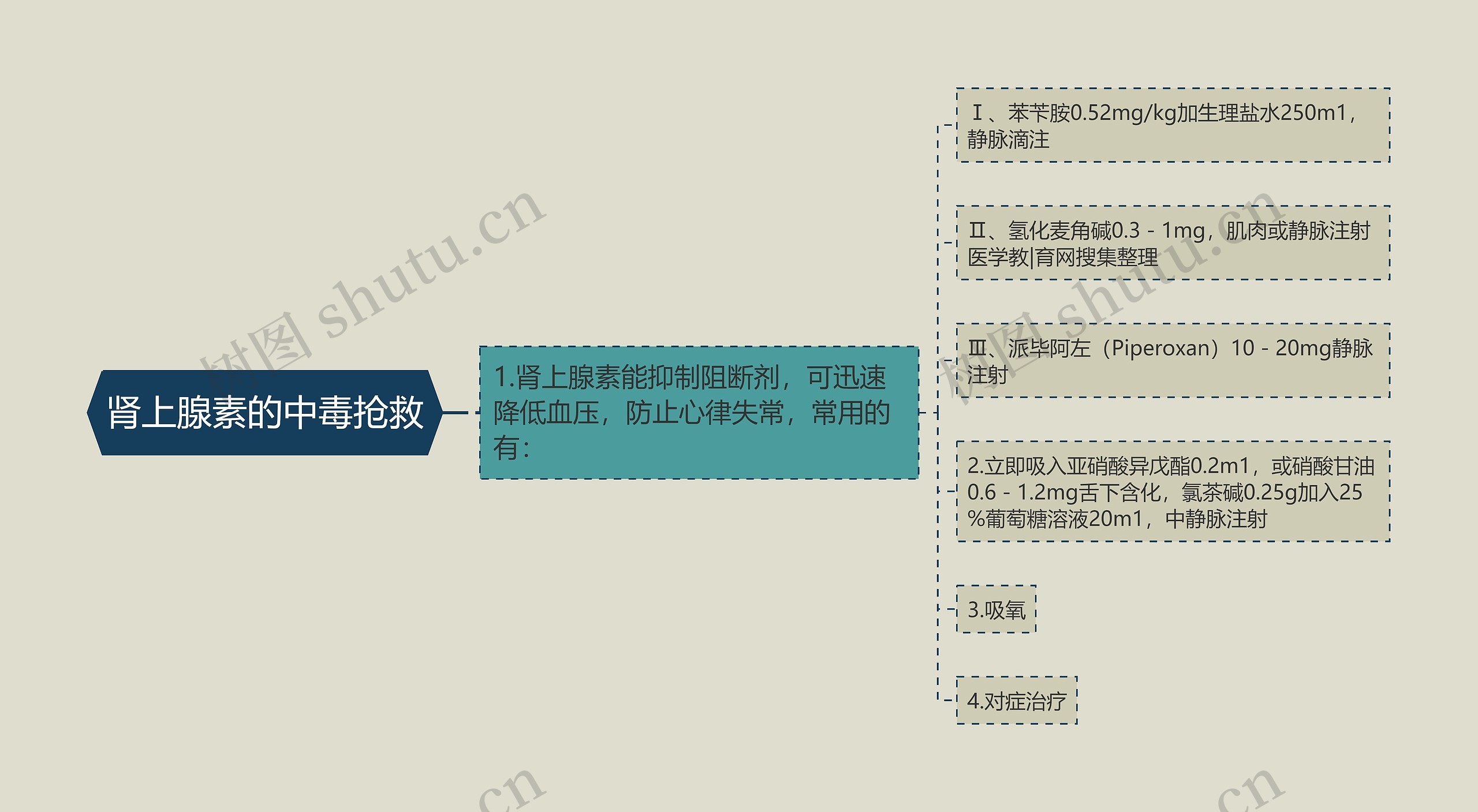 肾上腺素的中毒抢救 肾上腺素的中毒抢救