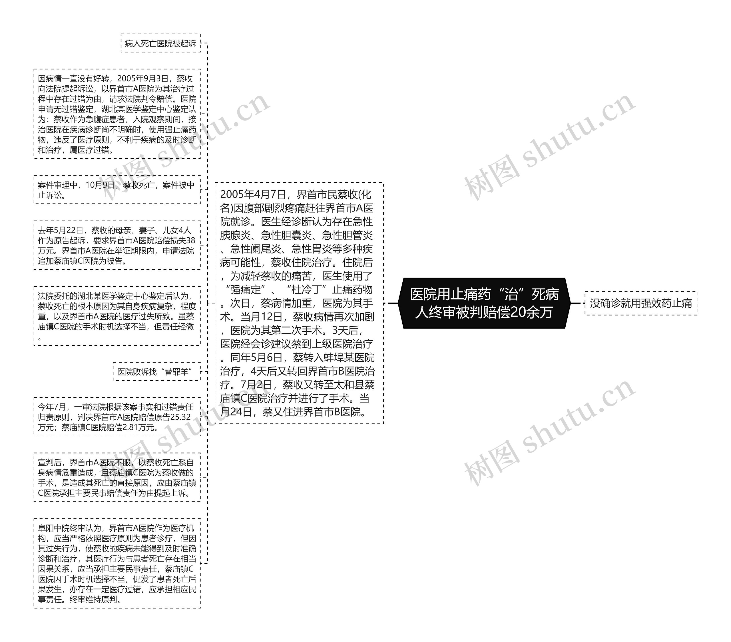 医院用止痛药“治”死病人终审被判赔偿20余万思维导图