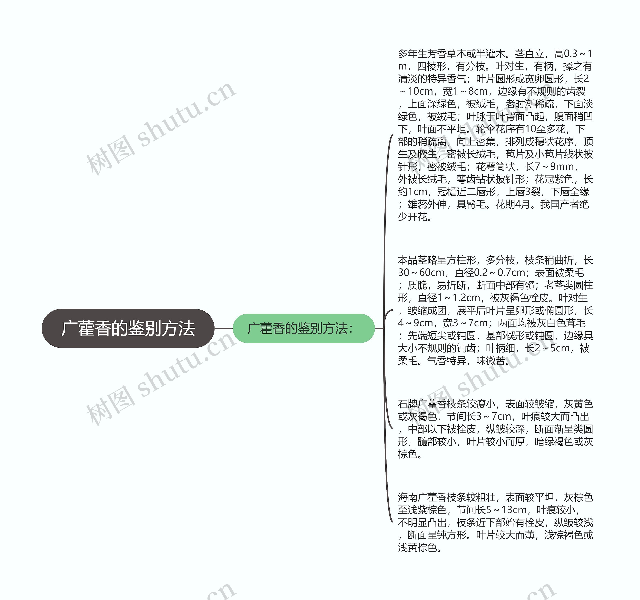 广藿香的鉴别方法思维导图