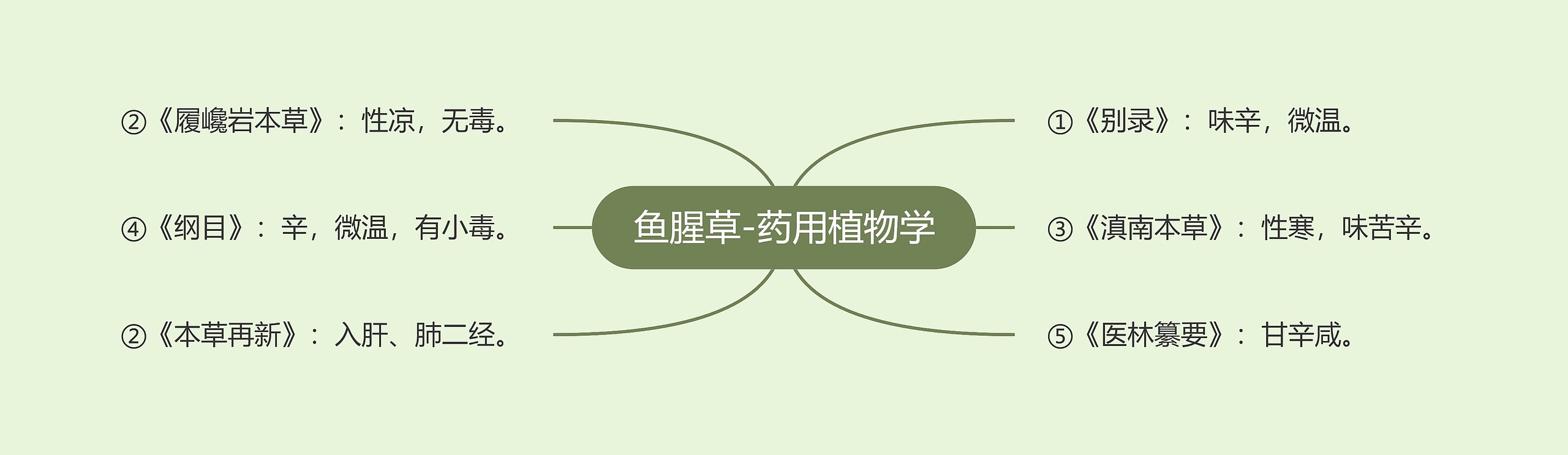 鱼腥草-药用植物学 鱼腥草-药用植物学