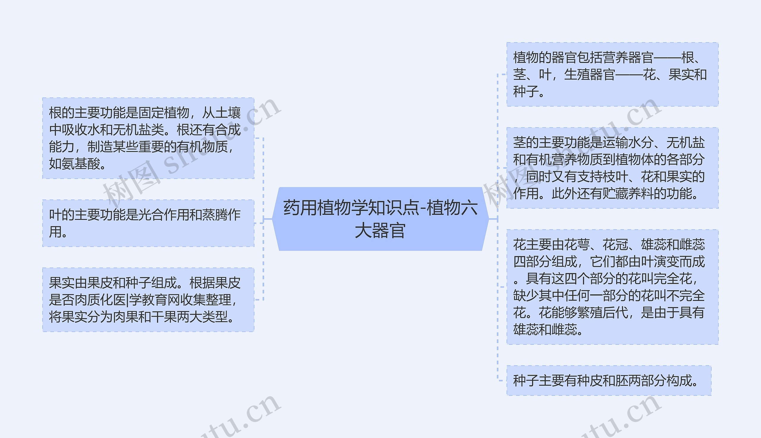 药用植物学知识点-植物六大器官 药用植物学知识点-植物六大器官
