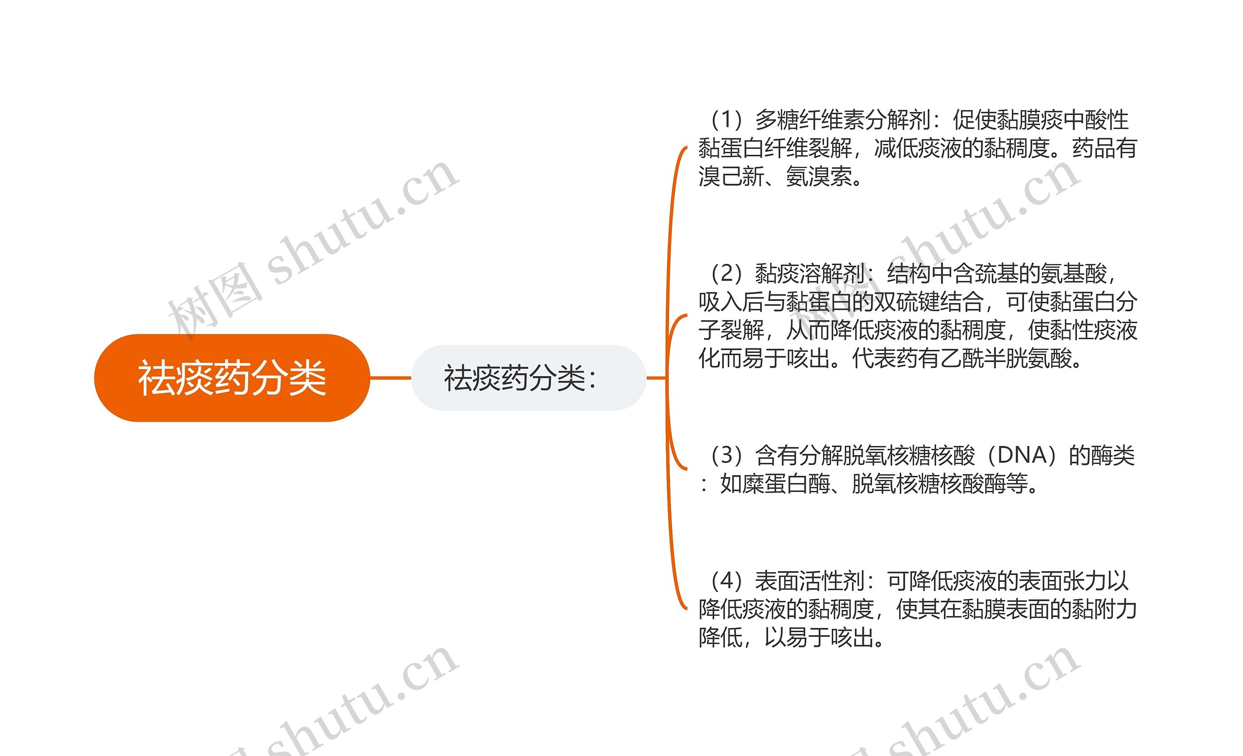 祛痰药分类思维导图