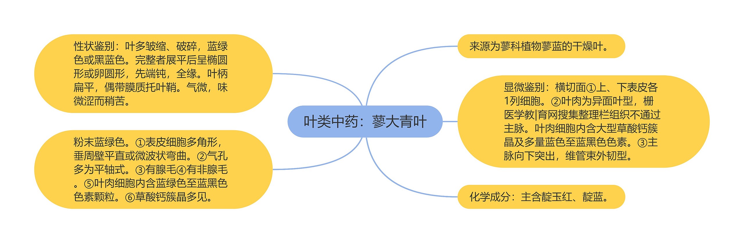 叶类中药：蓼大青叶思维导图