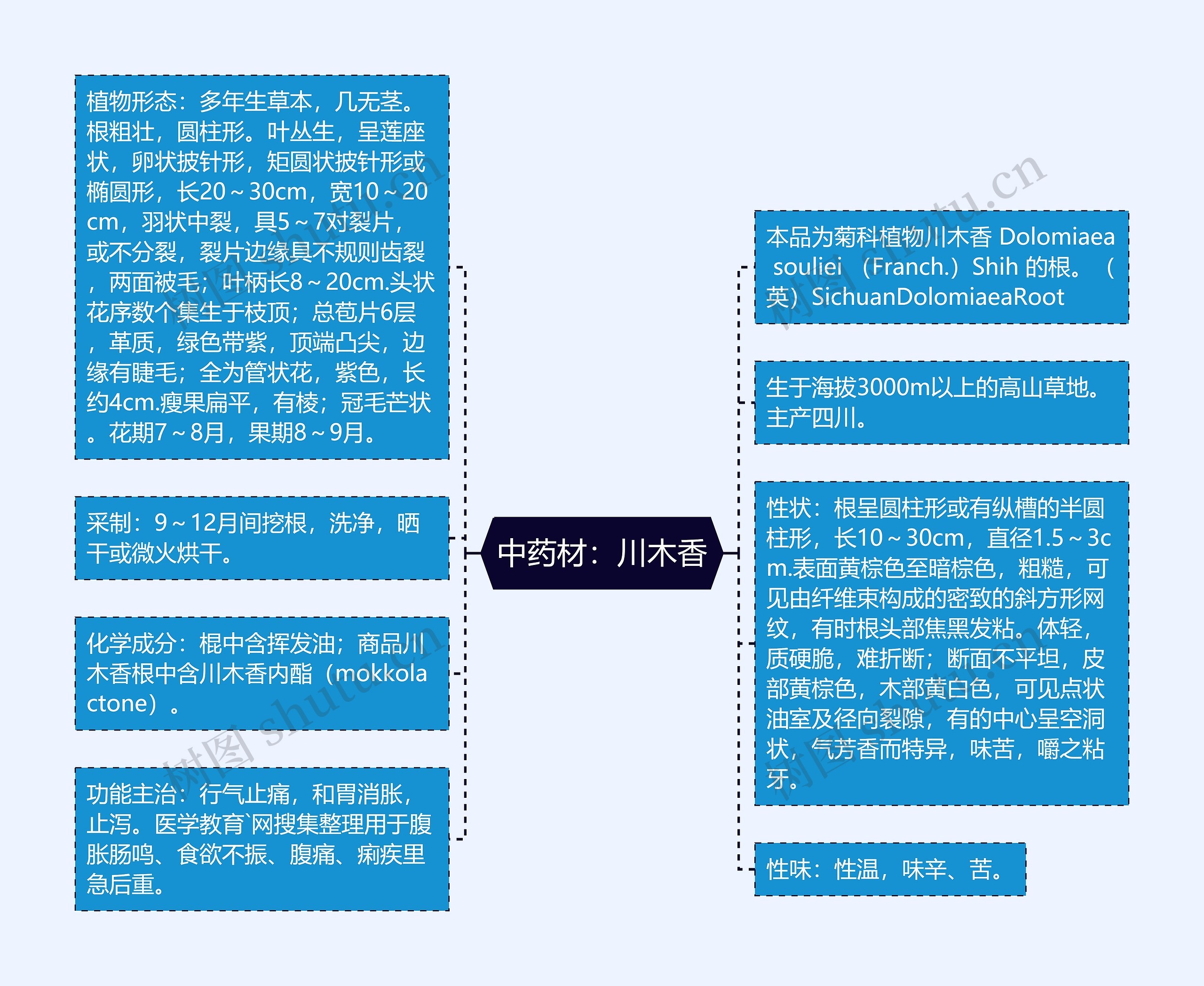 中药材：川木香思维导图