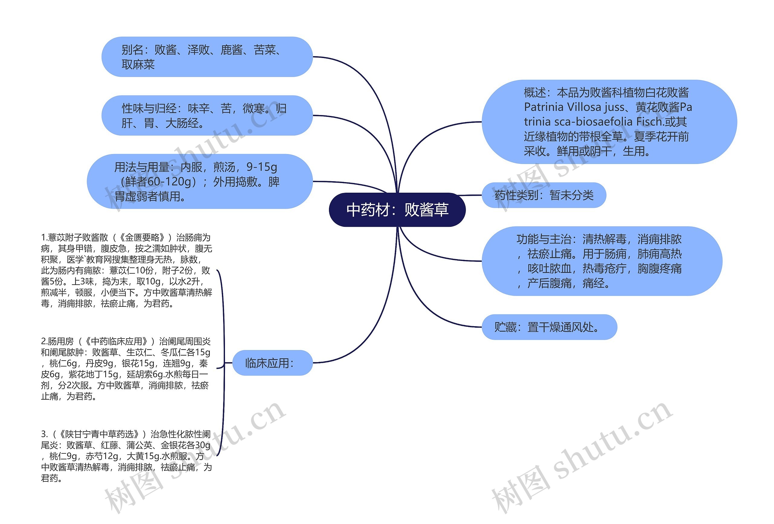 中药材：败酱草思维导图