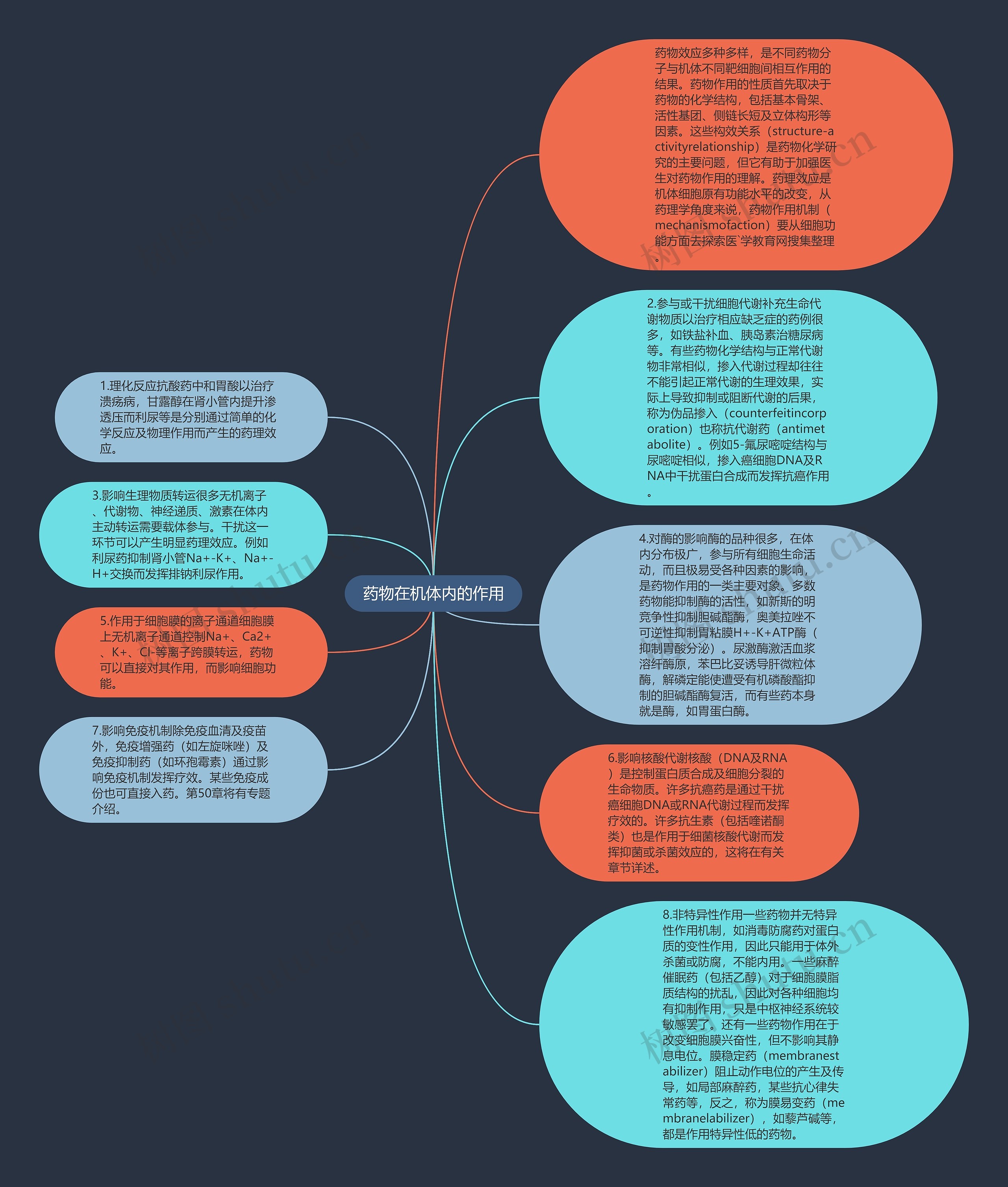 药物在机体内的作用思维导图