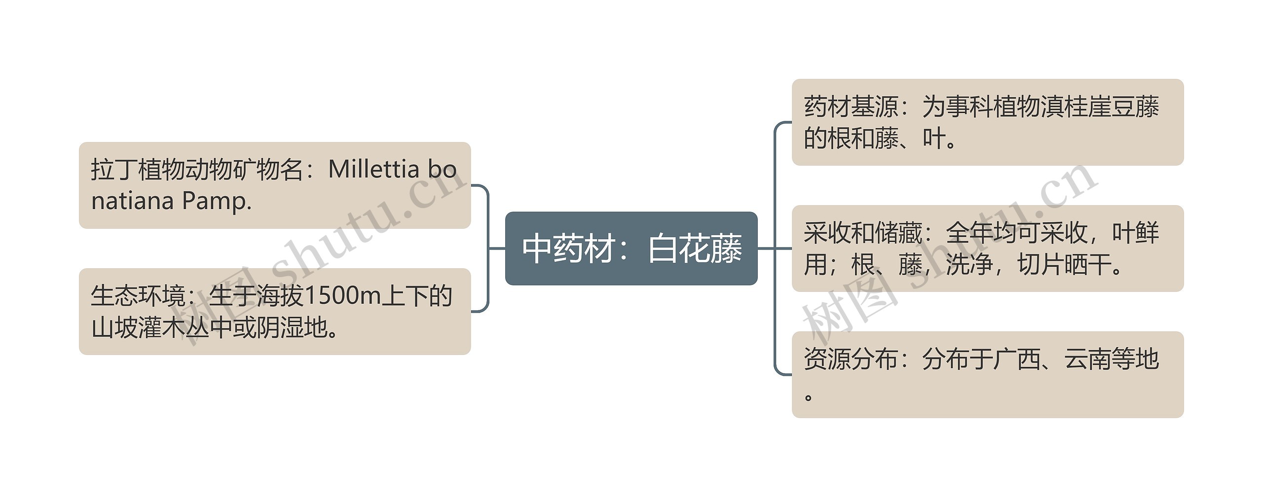 中药材：白花藤思维导图