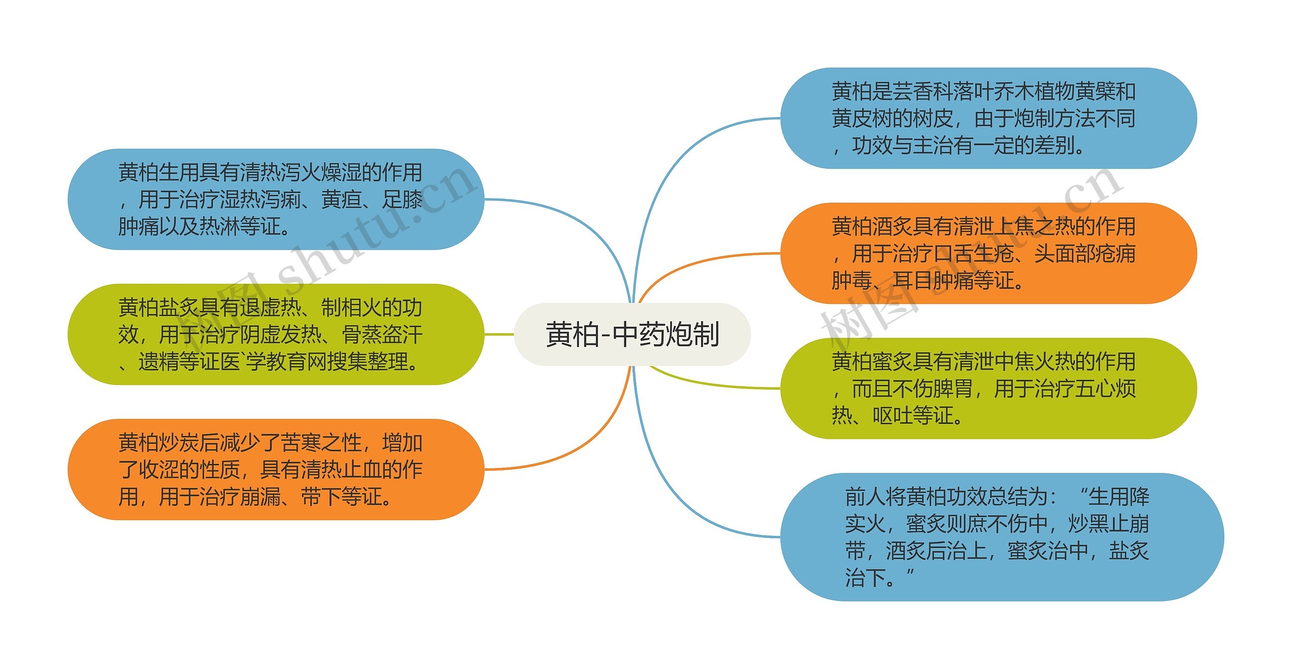 黄柏-中药炮制思维导图