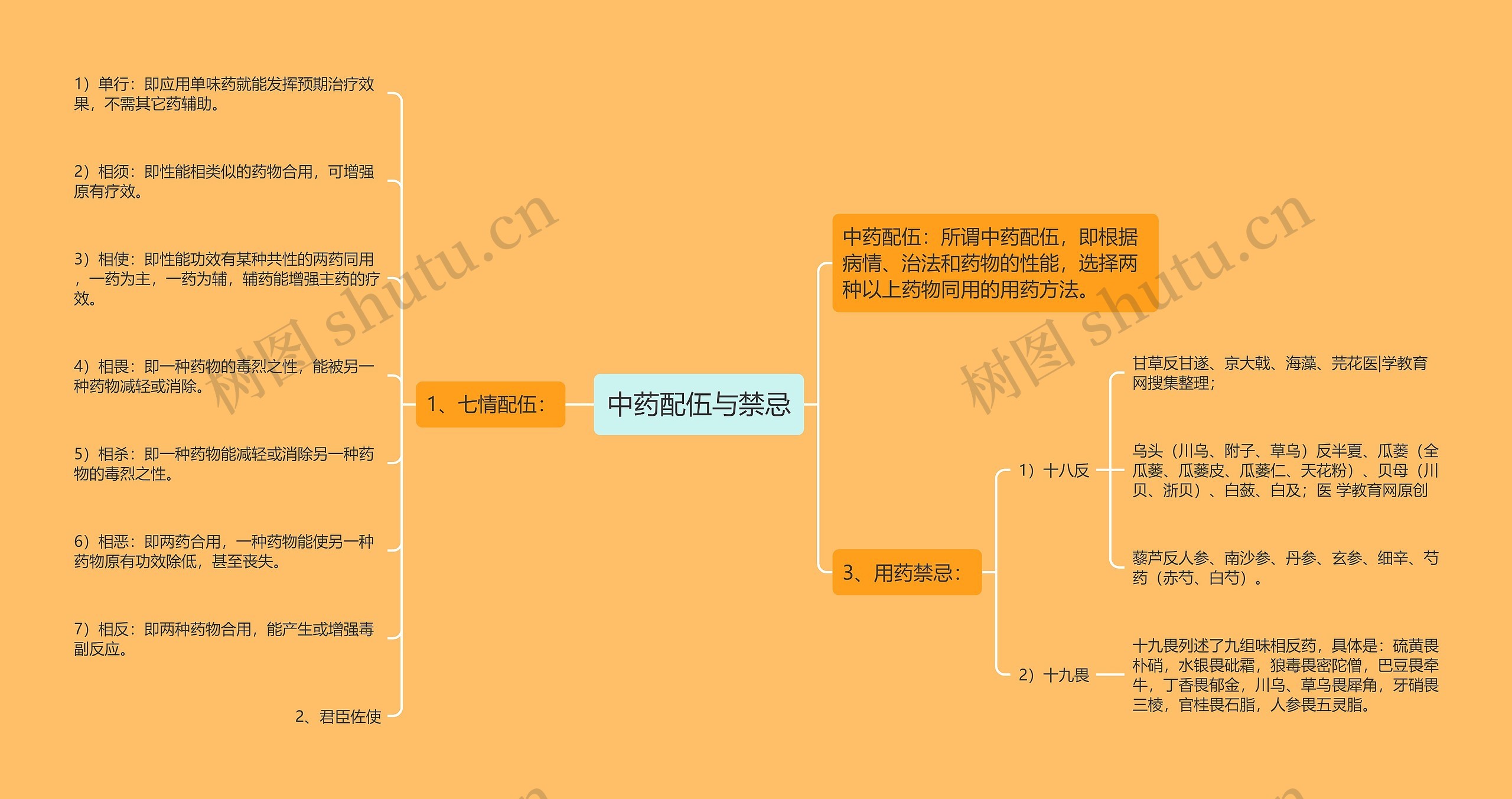 中药配伍与禁忌思维导图