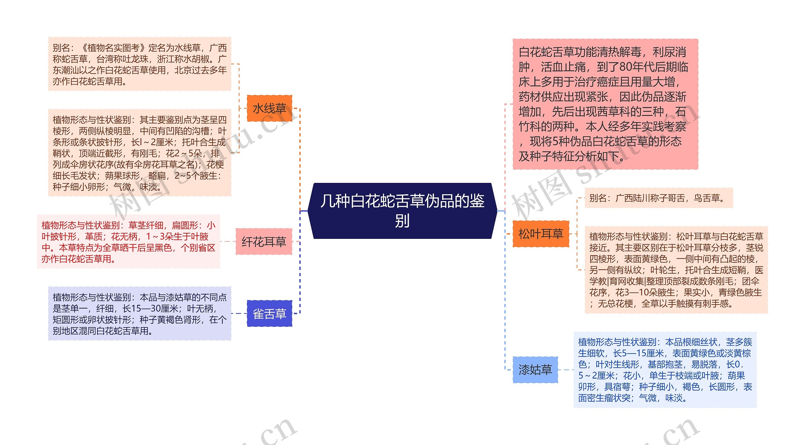 几种白花蛇舌草伪品的鉴别