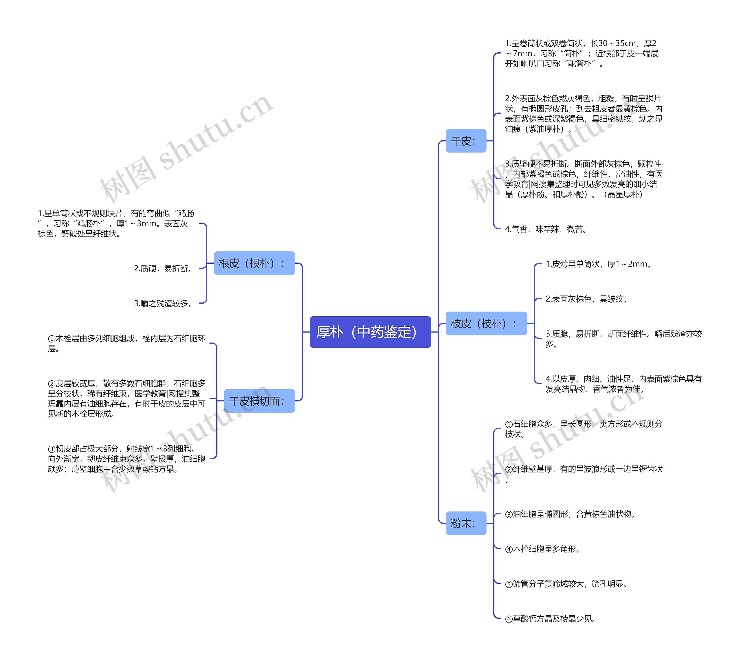 厚朴（中药鉴定）思维导图
