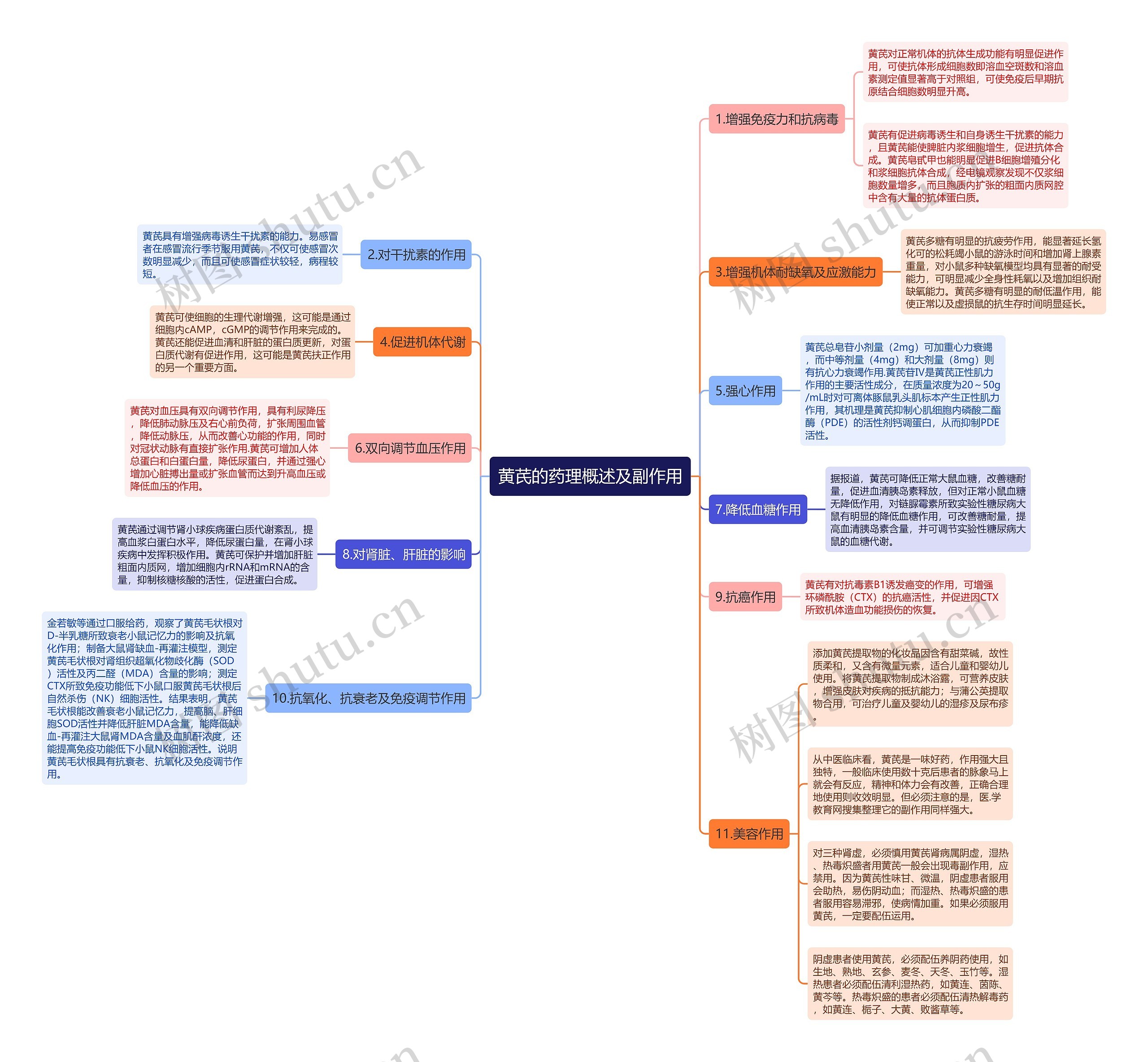 黄芪的药理概述及副作用思维导图