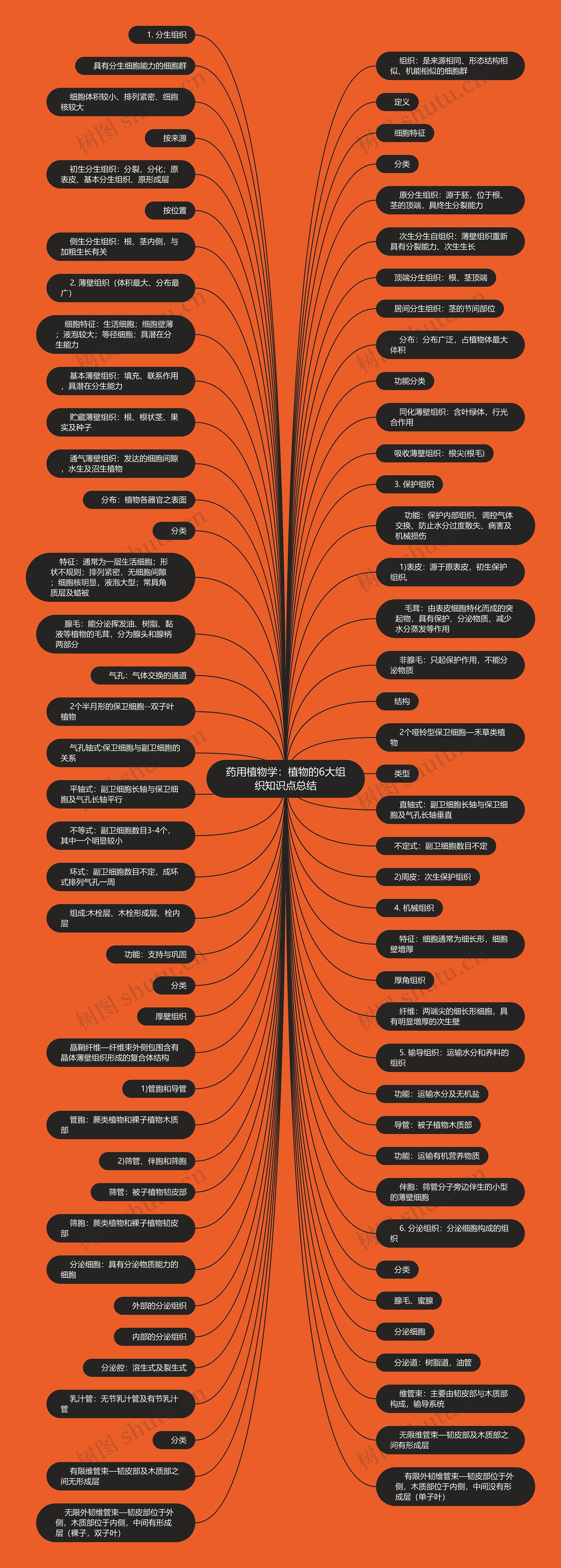 药用植物学：植物的6大组织知识点总结思维导图