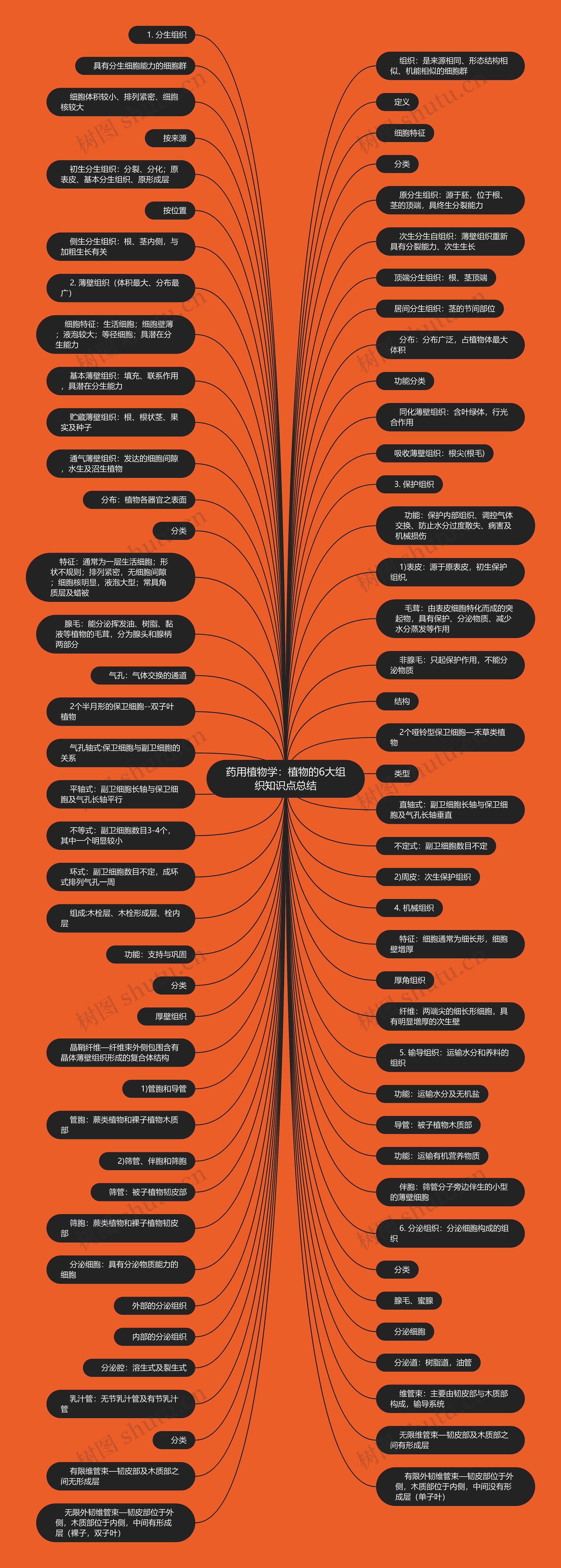 药用植物学:植物的6大组织知识点总结 药用植物学:植物的6大组织知识点总结
