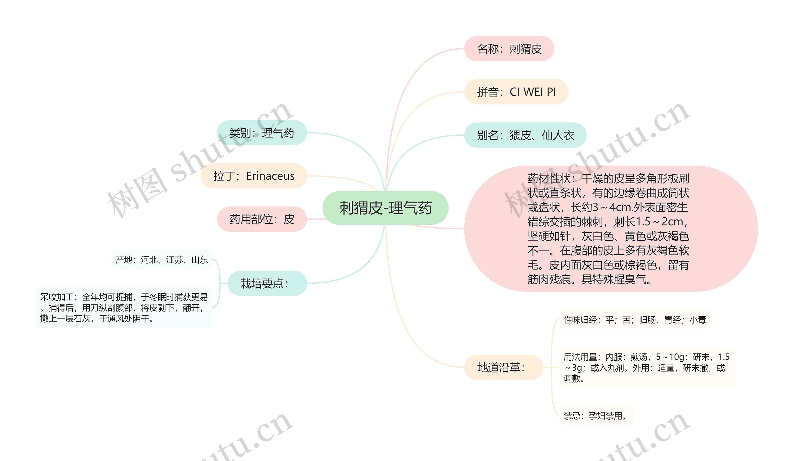 刺猬皮-理气药思维导图