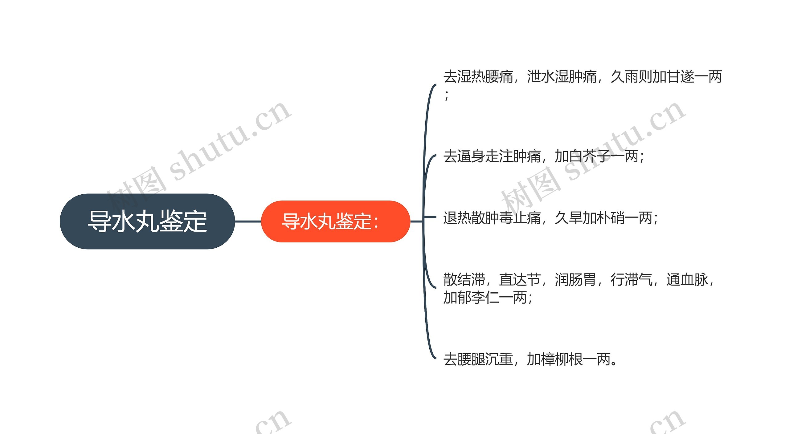 导水丸鉴定思维导图