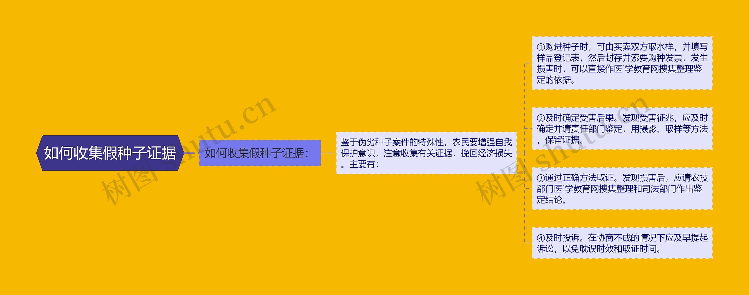 如何收集假种子证据 如何收集假种子证据