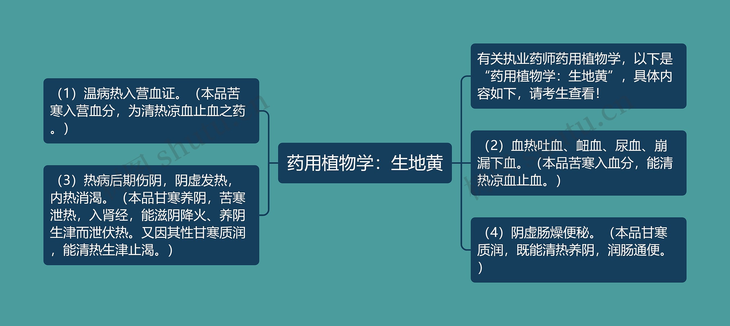 药用植物学：生地黄