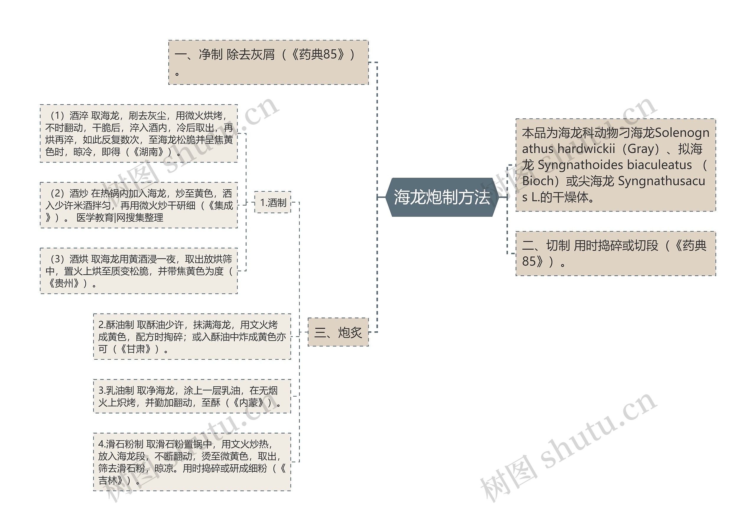 海龙炮制方法思维导图