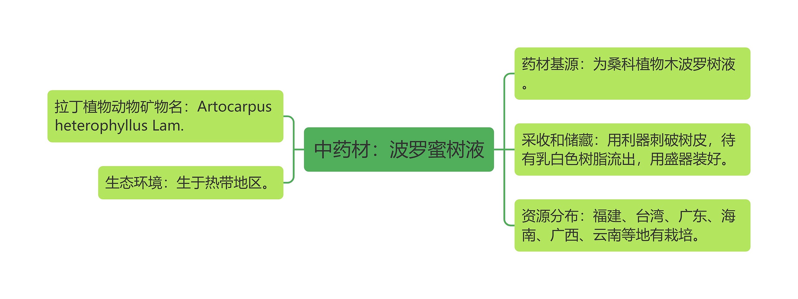 中药材：波罗蜜树液思维导图