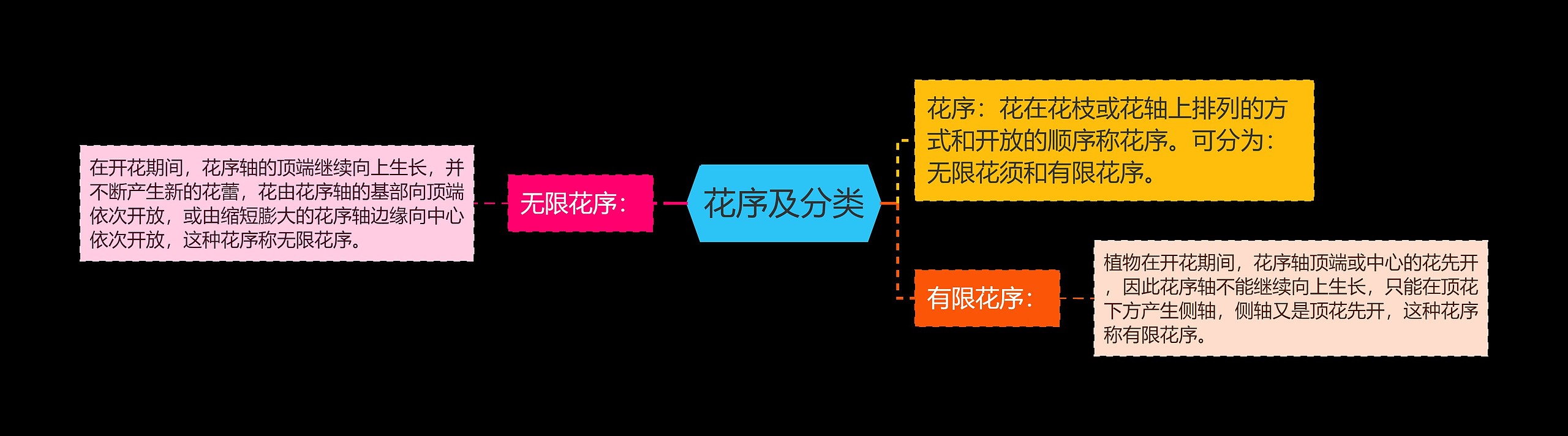 花序及分类思维导图