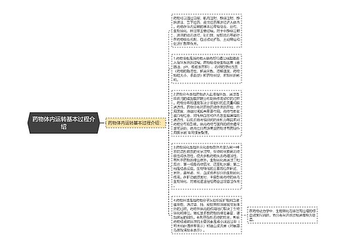 药物体内运转基本过程介绍