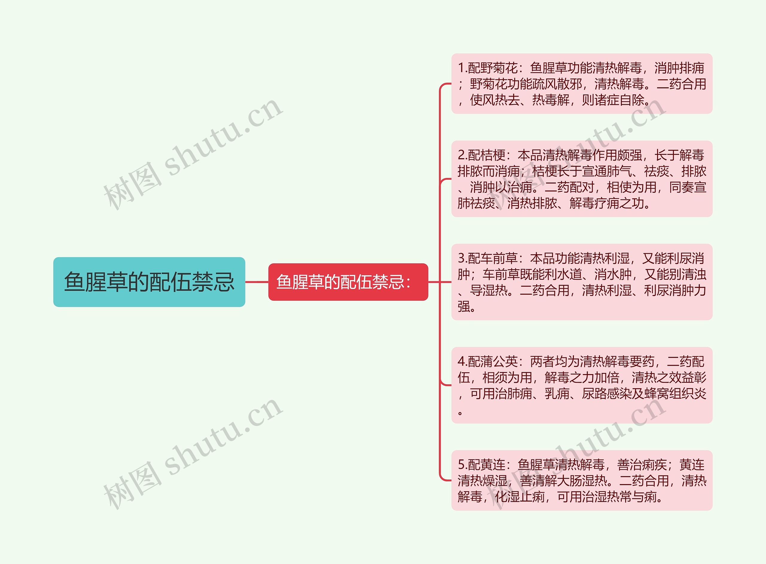 鱼腥草的配伍禁忌思维导图