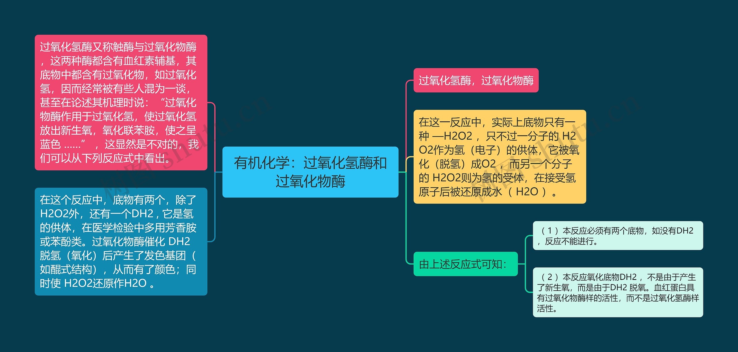 有机化学：过氧化氢酶和过氧化物酶