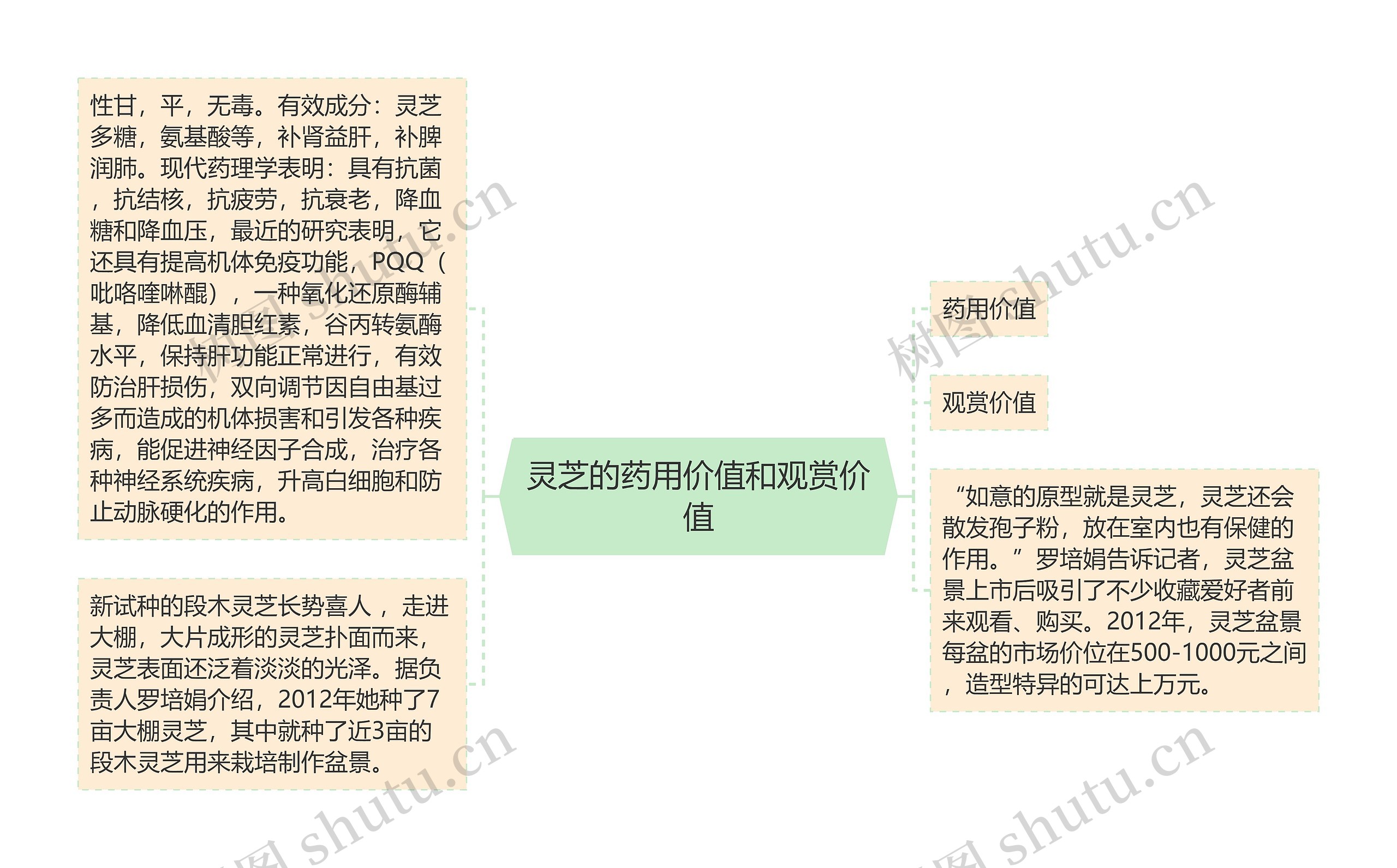 灵芝的药用价值和观赏价值