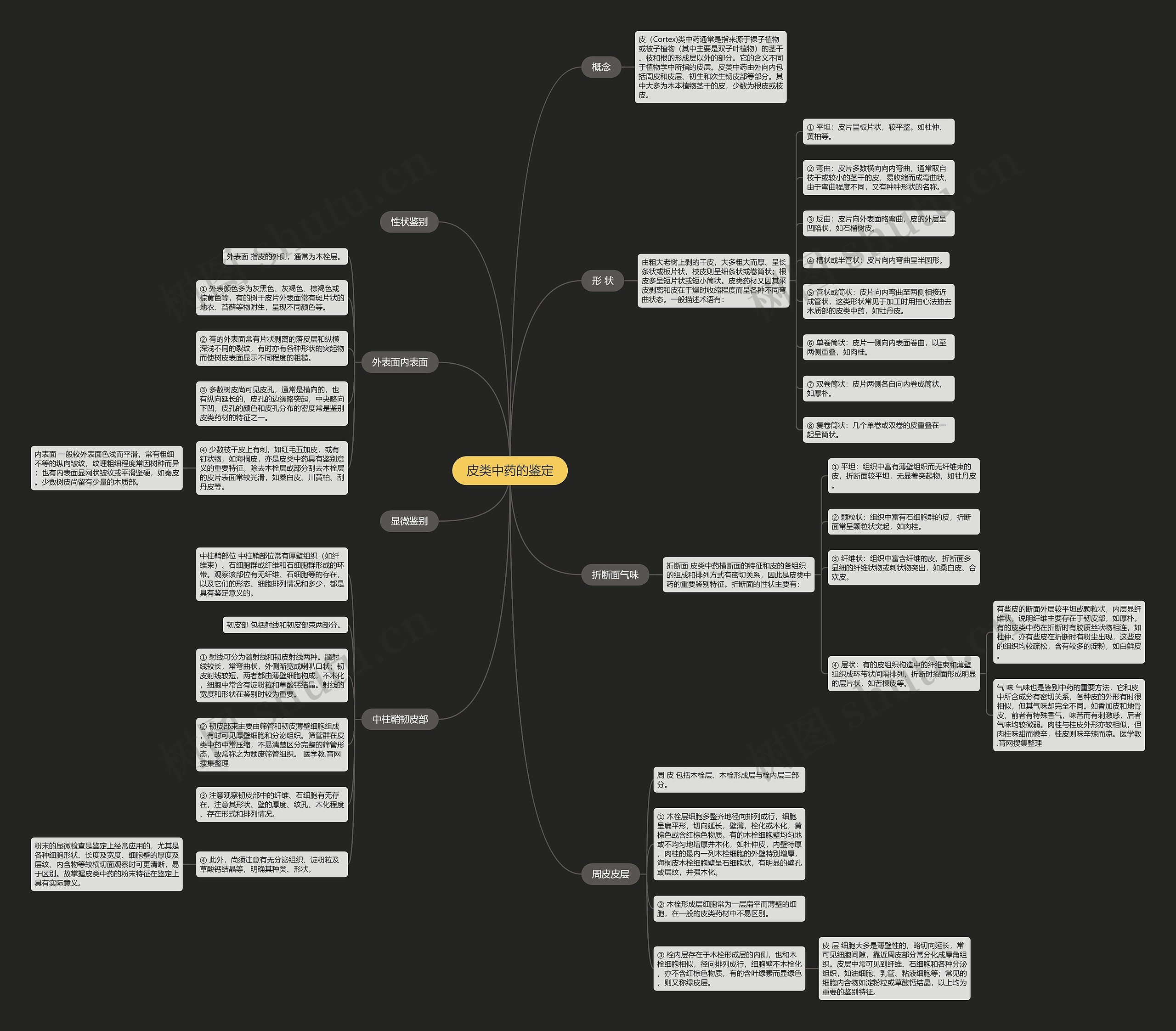 皮类中药的鉴定思维导图